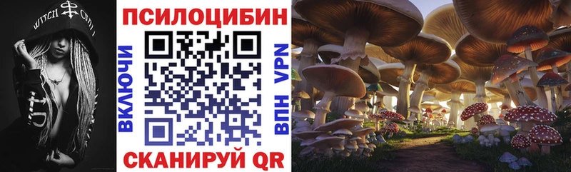 Галлюциногенные грибы GOLDEN TEACHER  mega как зайти  Голицыно 